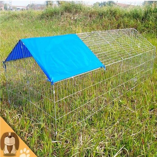 人気の産卵鶏小屋