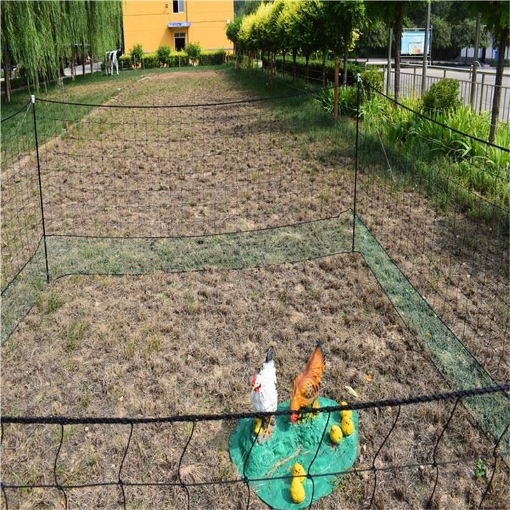 Net Fencing For Chickens