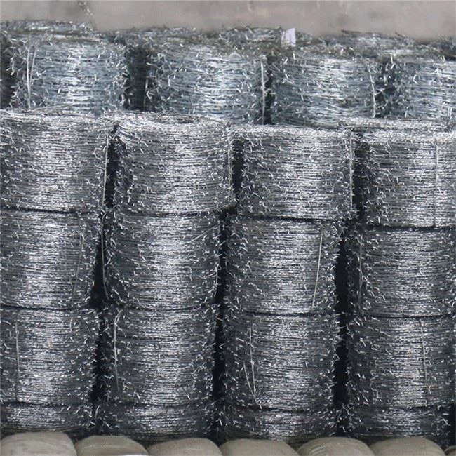 Barbed Price Wire Hot Sale