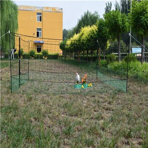 鶏のためのオーバーヘッドネッティング