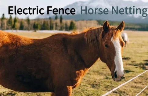 info-485-315 info-485-315